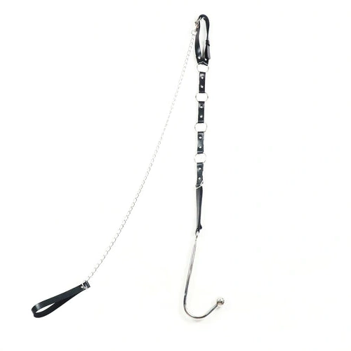 Anal Hook with EverydayUse and Leash Collar 5853 Kinky 0721